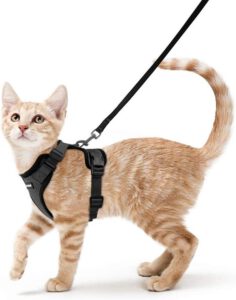 Rabbitgoo Cat Harness and Leash Set